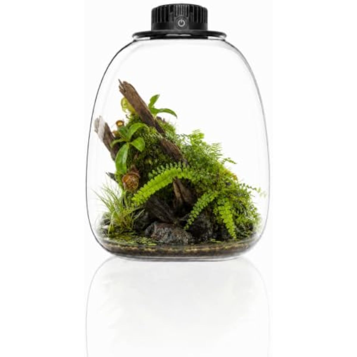 Grow Light Led - Ronde Biofles Terrarium met verstelbaar ventilatiesysteem,