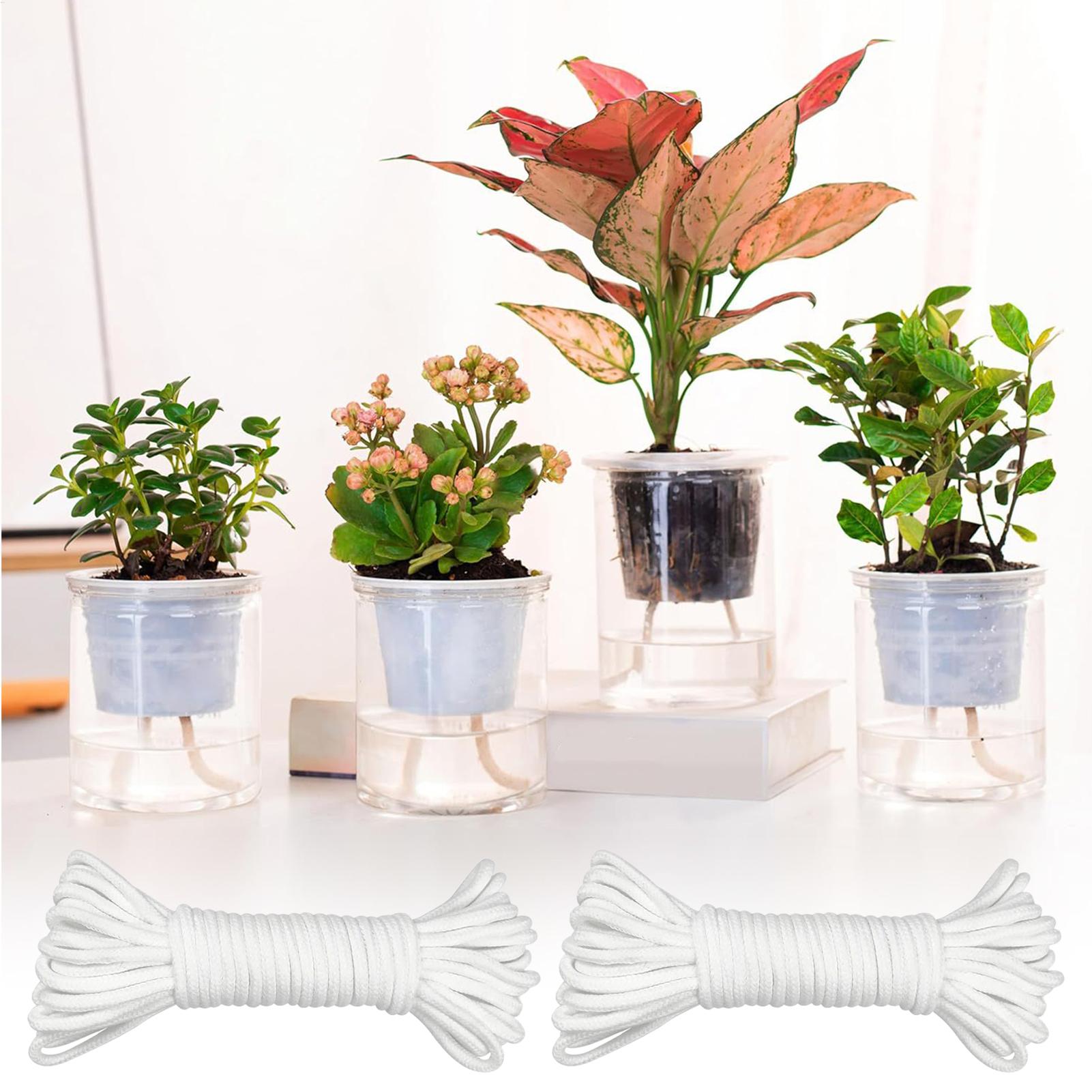 Plantenwikken voor zelfwaterge - Self Watering Planter recensie en prijs