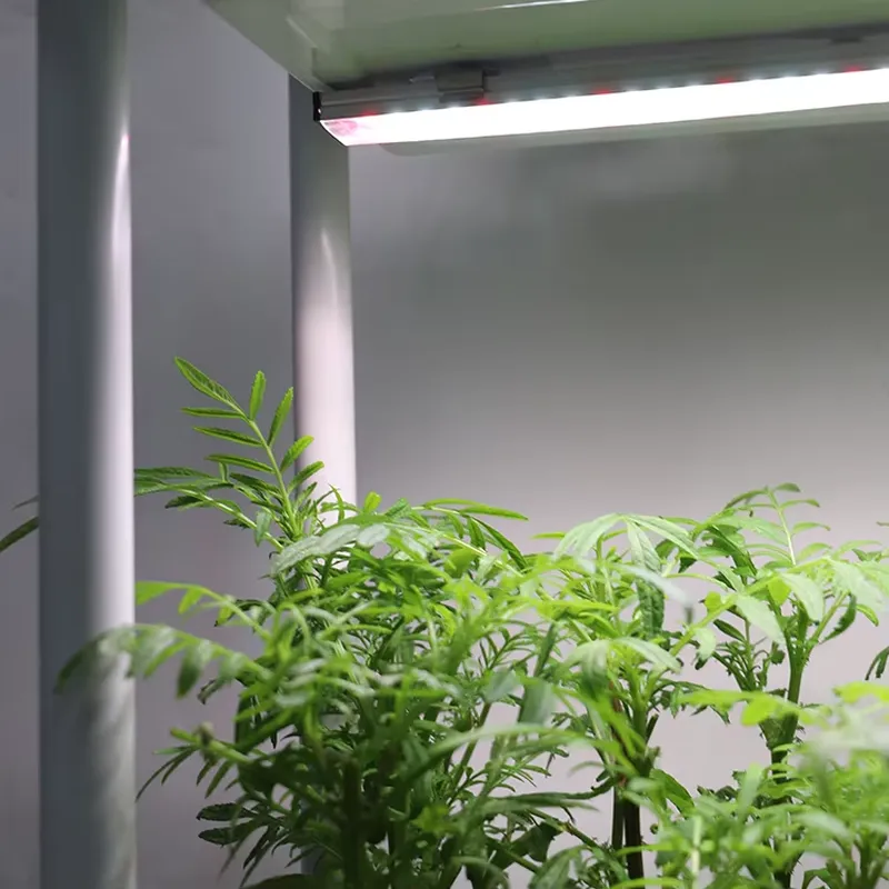 Verplaatsbaar verticaal 3-laag - Indoor Herb Garden recensie en prijs