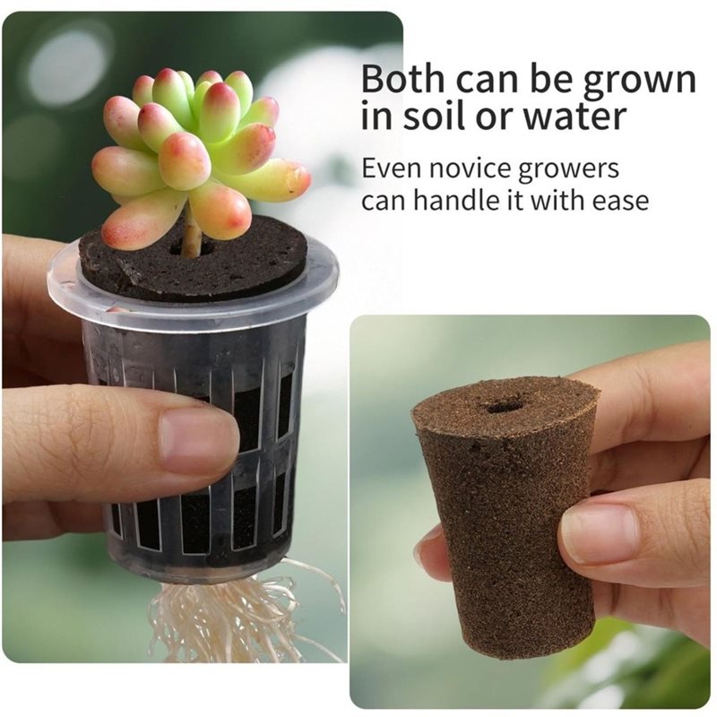 [ABFI!】 Hydroponische Zaailing - Hydroponic Kit recensie en prijs