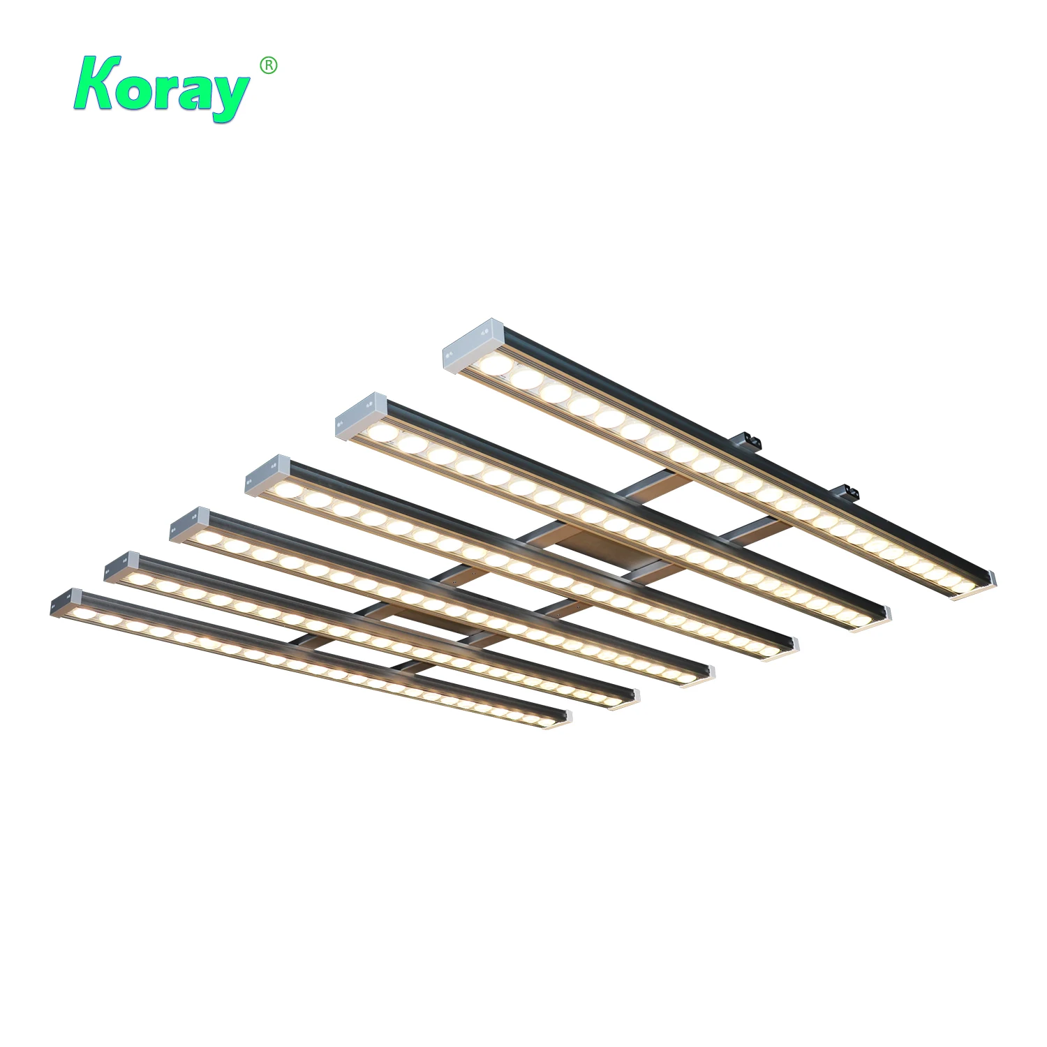 Koray 900W Indoor full spectru - Grow Light Led recensie en prijs