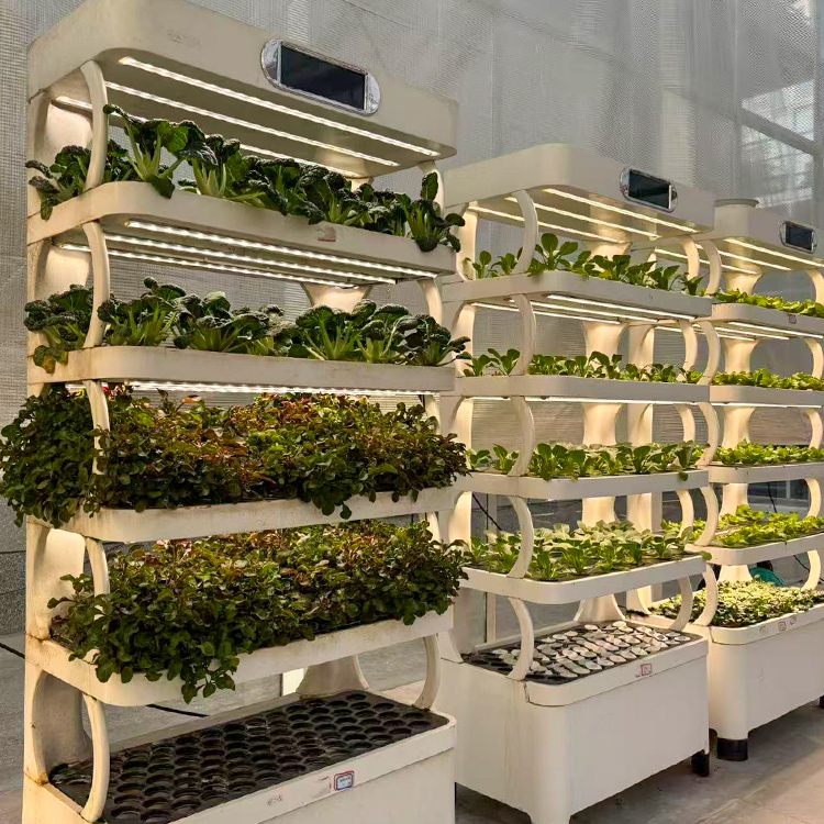 Slimme verticale hydroponische - Vertical Planter recensie en prijs