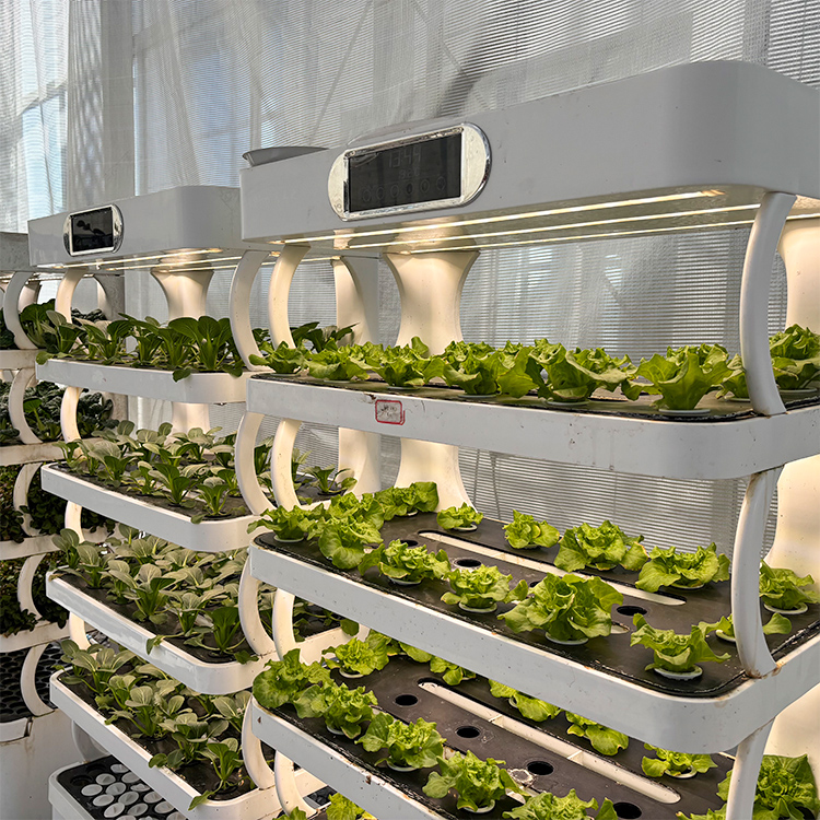 Slimme verticale hydroponische - Vertical Planter recensie en prijs