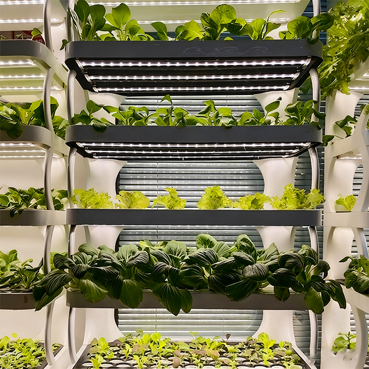 Slimme verticale hydroponische - Vertical Planter recensie en prijs